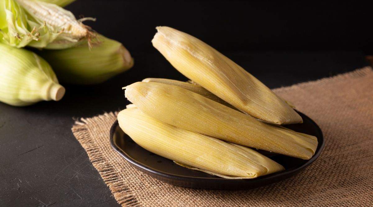 Tamal in Punta Mita, prepared by the private chef at Agave Villas.