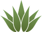 Agave Icon