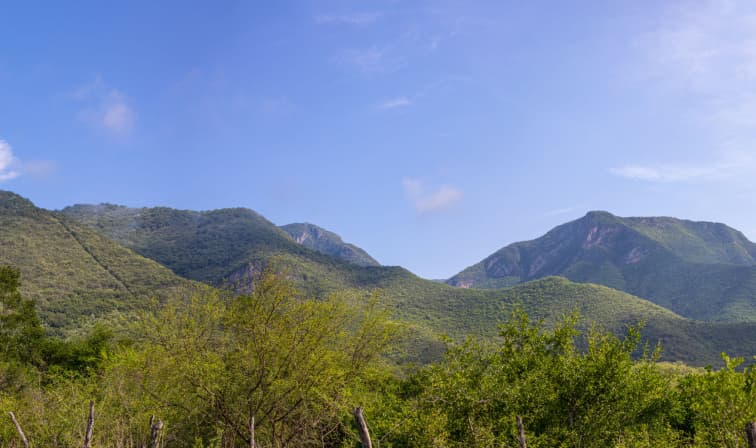 Monkey Mountain Hiking
