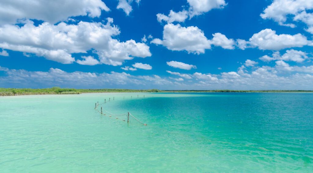 Kaan Luum Lagoon in Riviera Maya.