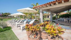 xr:d:DAEMrW4V-o4:19652,j:7832166190410191643,t:23101823