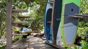 xr:d:DAEMrW4V-o4:17031,j:39701895256,t:22120519