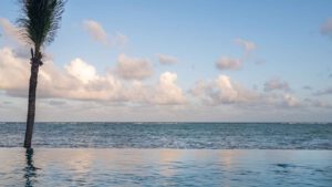 xr:d:DAEMrW4V-o4:19377,j:6431546193281610674,t:23101323