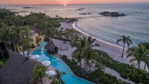 Agave Site Image Template