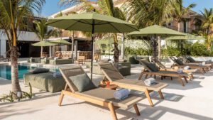 xr:d:DAEMrW4V-o4:21958,j:8025836028428077830,t:24031300