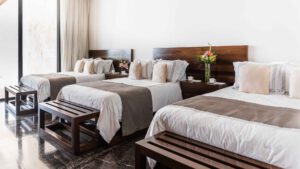 xr:d:DAEMrW4V-o4:21337,j:3771054711155312662,t:24011823