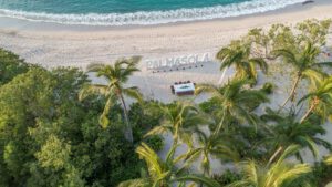 Agave Site Image Template