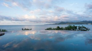 xr:d:DAEMrW4V-o4:17002,j:39701587215,t:22120519