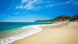 xr:d:DAEMrW4V-o4:19806,j:6207493153774400347,t:23102402