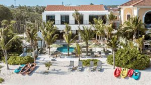 xr:d:DAEMrW4V-o4:21934,j:3921930863303881375,t:24031223