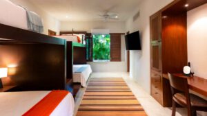 xr:d:DAEMrW4V-o4:22392,j:1549727415169011,t:24040416