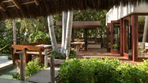 xr:d:DAEMrW4V-o4:21622,j:3875764821336078956,t:24020118