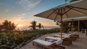 xr:d:DAEMrW4V-o4:21647,j:3777811530802383812,t:24020118