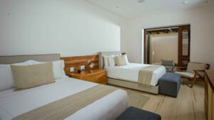 xr:d:DAEMrW4V-o4:20097,j:7521420818240879620,t:23111702