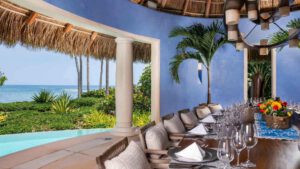 Agave Site Image Template