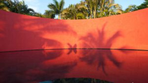 xr:d:DAEMrW4V-o4:17724,j:4504705150,t:23022820