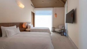 xr:d:DAEMrW4V-o4:22265,j:6843643274307407870,t:24040220