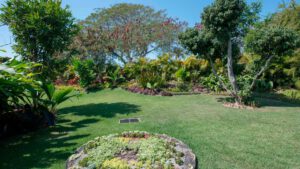 xr:d:DAEMrW4V-o4:19674,j:3119149182129793860,t:23101823