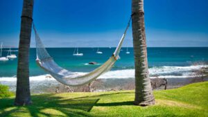 xr:d:DAEMrW4V-o4:17749,j:47927355455,t:23030121