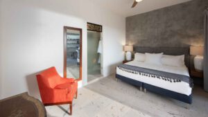 xr:d:DAEMrW4V-o4:20997,j:1479846847110203351,t:24010321